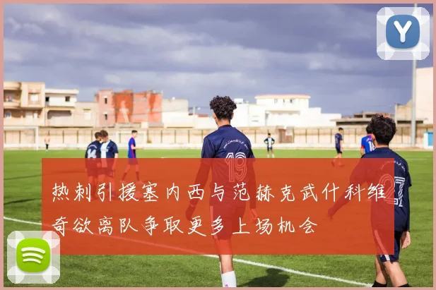 热刺引援塞内西与范赫克武什科维奇欲离队争取更多上场机会