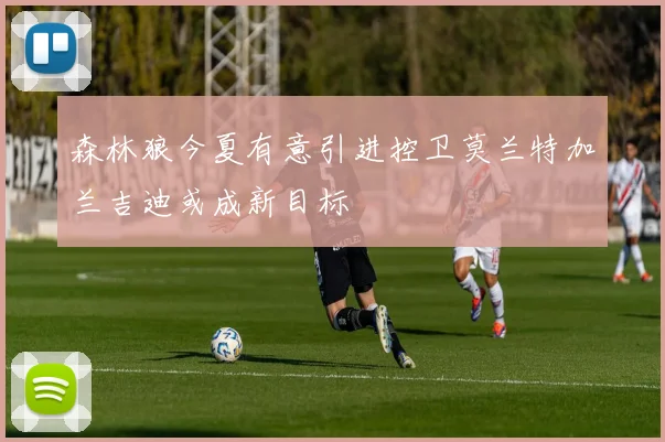 森林狼今夏有意引进控卫莫兰特加兰吉迪或成新目标